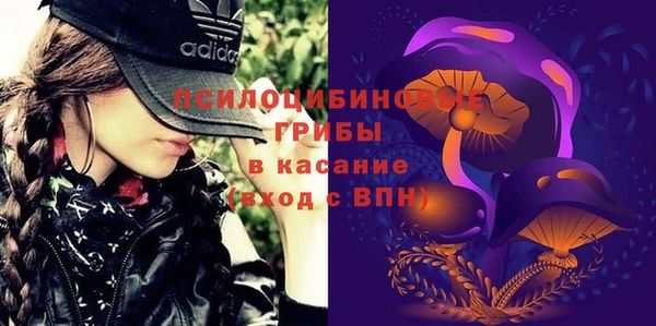 винт Арсеньев