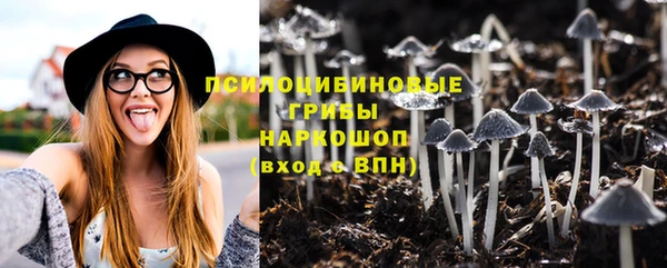 винт Арсеньев