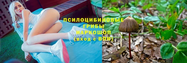 винт Арсеньев